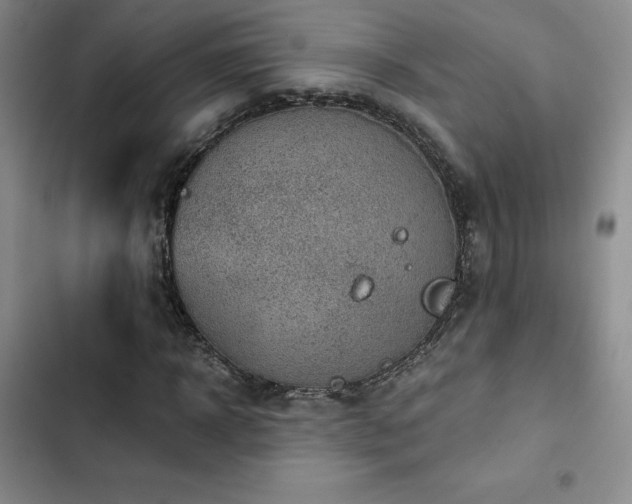 X0000103160918200808221350