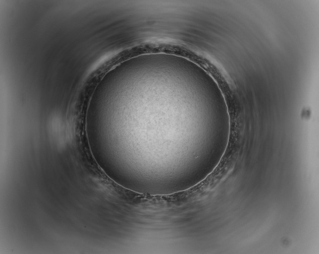 X0000103160919200808221350