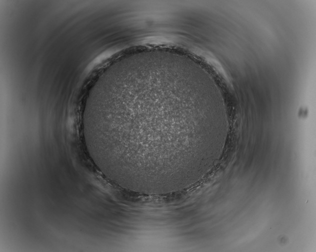 X0000103160920200808221351
