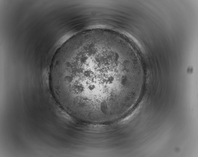X0000103160921200808221351