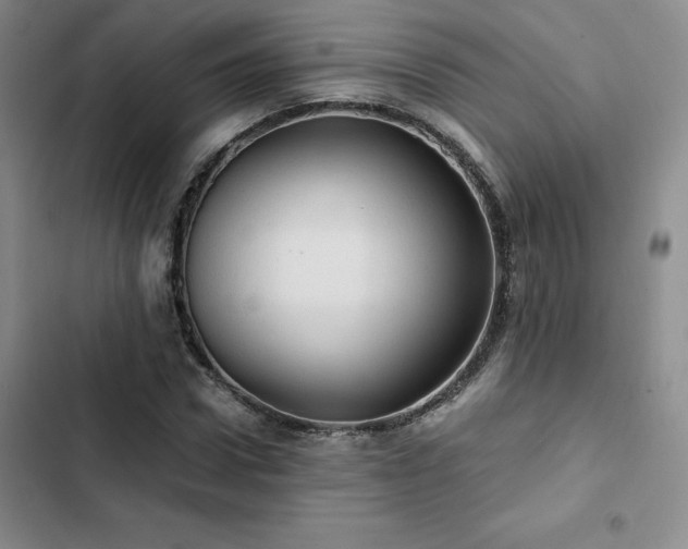 X0000103160922200808221351
