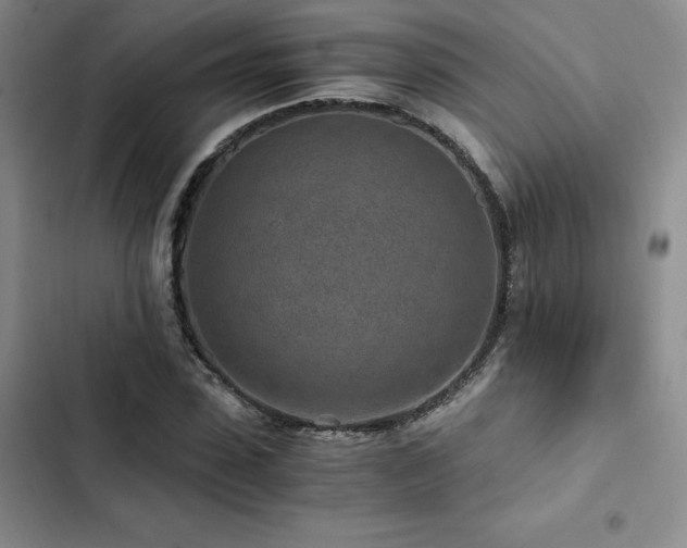 X0000103160923200808221351