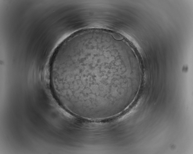 X0000103160925200808221351