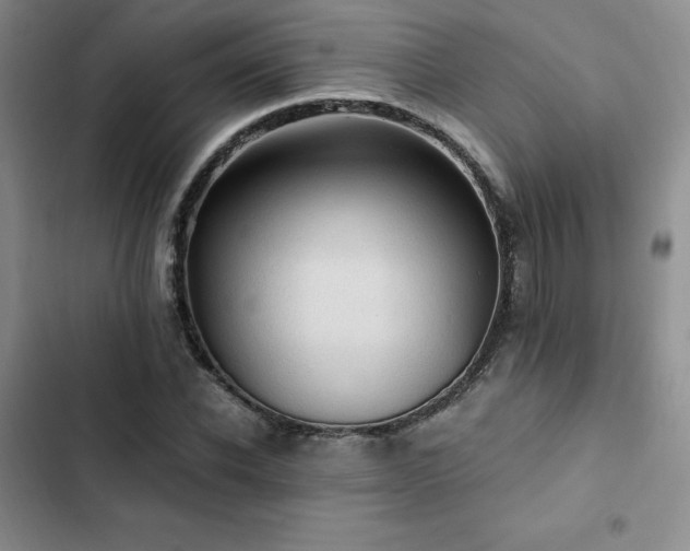 X0000103160926200808221351