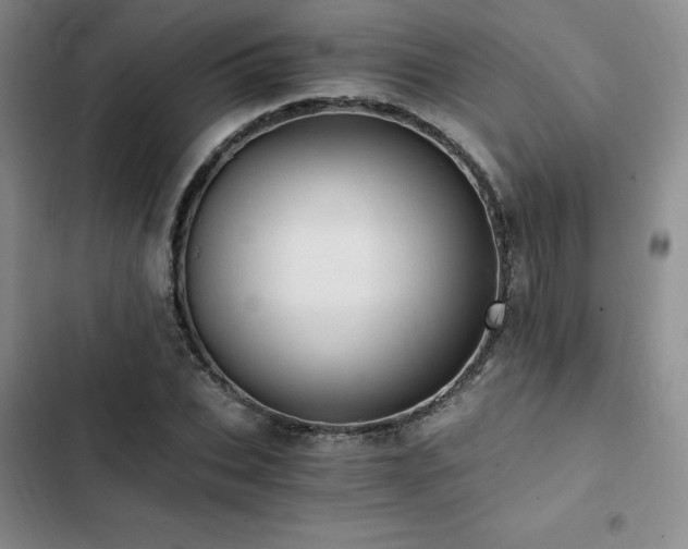 X0000103160927200808221351