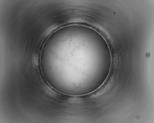 X0000103160929200808221351