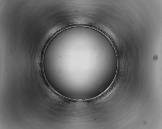 X0000103160930200808221351