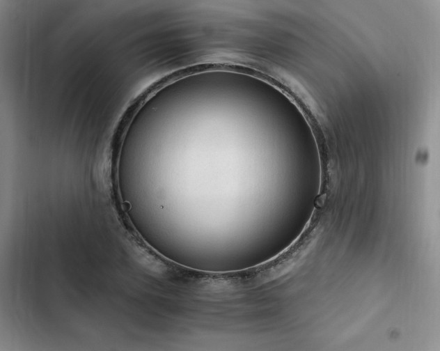 X0000103160931200808221351