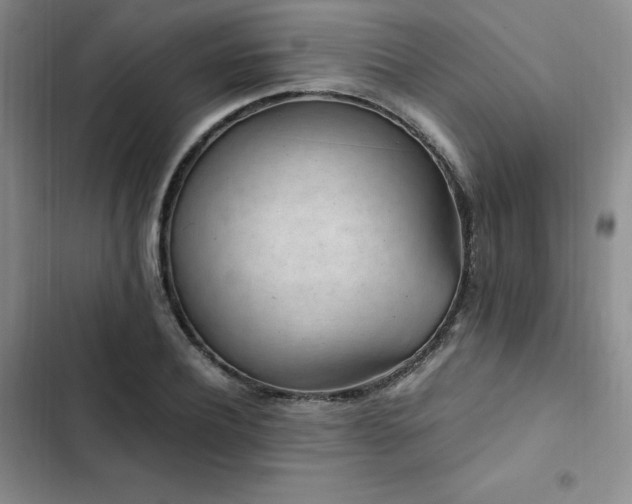 X0000103160932200808221351