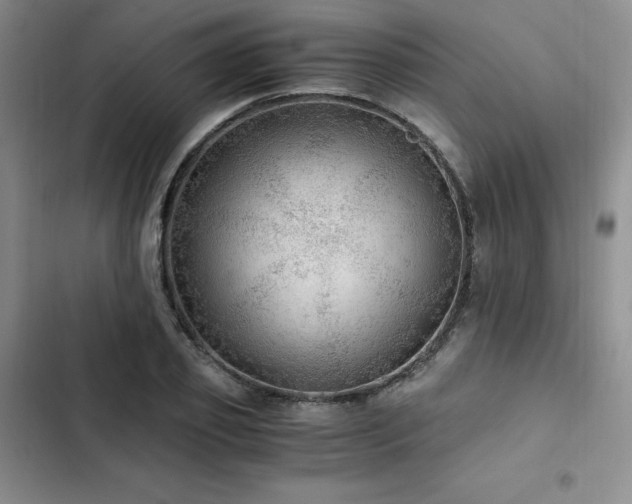 X0000103160933200808221351