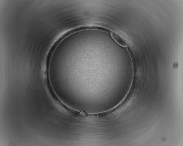 X0000103160934200808221351