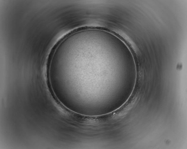 X0000103160935200808221351