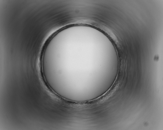X0000103160936200808221351