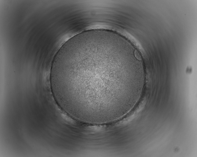 X0000103160937200808221351
