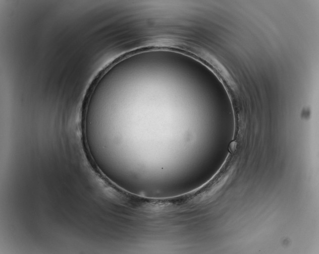 X0000103160939200808221351