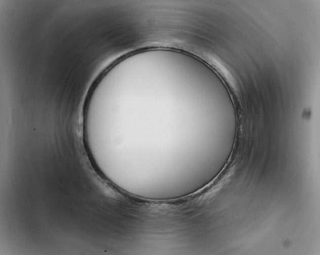 X0000103160940200808221351