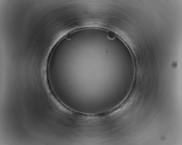 X0000103160941200808221351