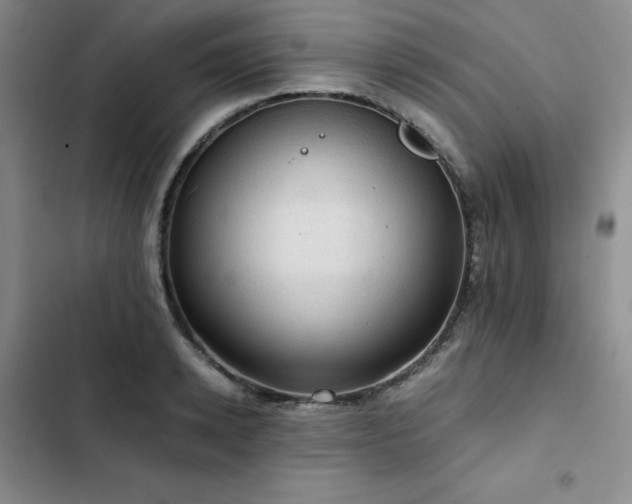 X0000103160942200808221351