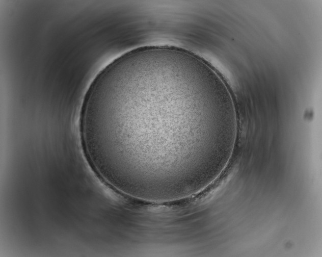 X0000103160943200808221351
