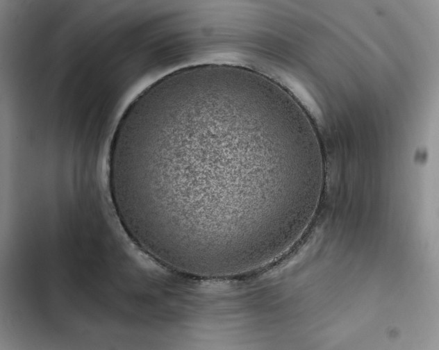 X0000103160944200808221351