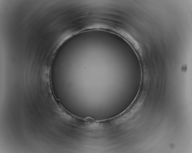 X0000103160945200808221351