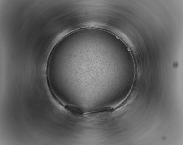 X0000103160946200808221351