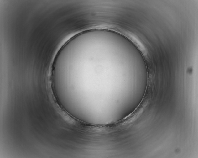 X0000103160948200808221351