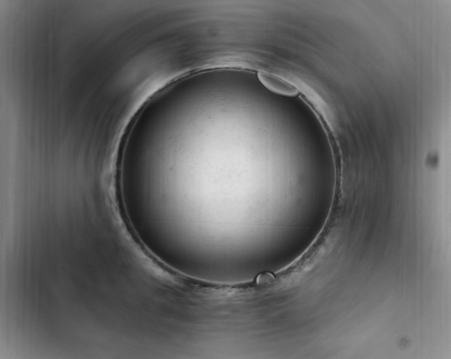 X0000103160949200808221351