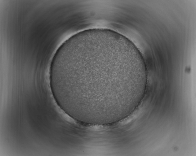 X0000103160950200808221351