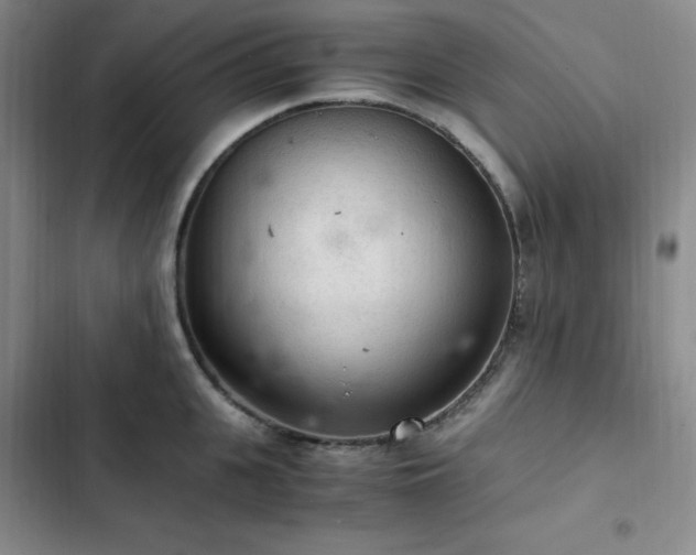 X0000103160951200808221351
