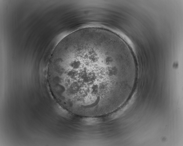 X0000103160953200808221351