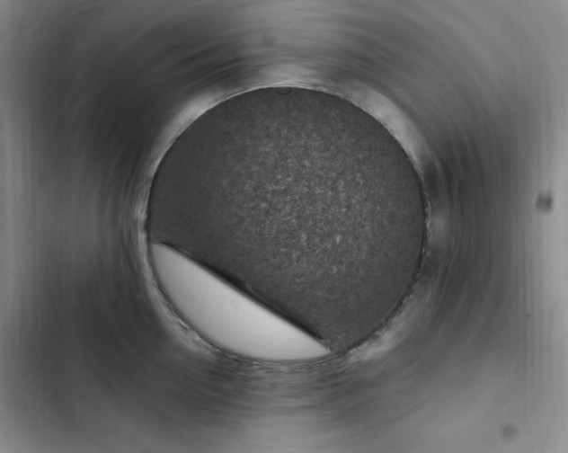 X0000103160954200808221351