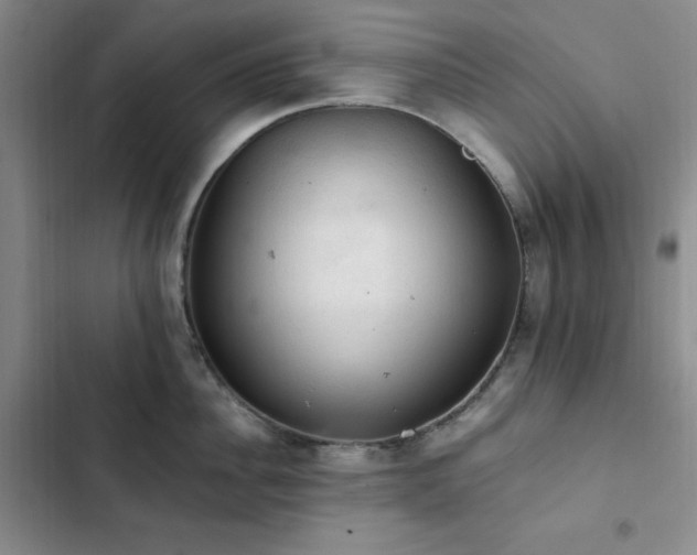 X0000103160956200808221351