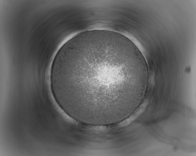 X0000103160957200808221351