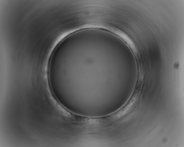 X0000103160958200808221351