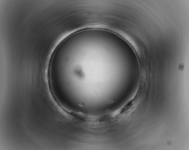 X0000103160959200808221351
