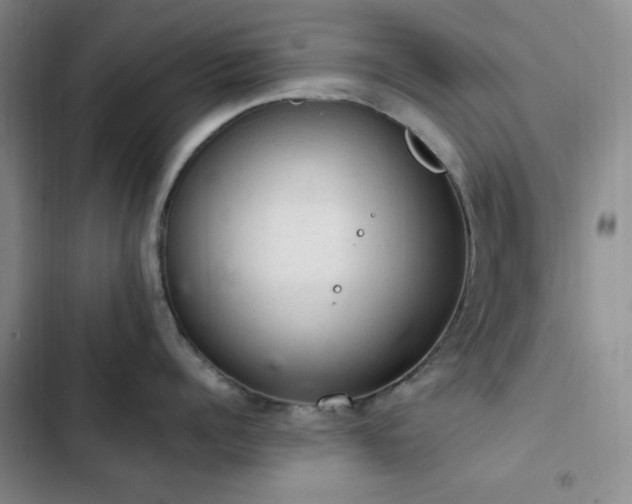 X0000103160960200808221351