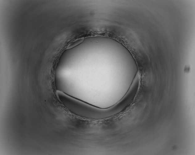 X0000103160961200808221350