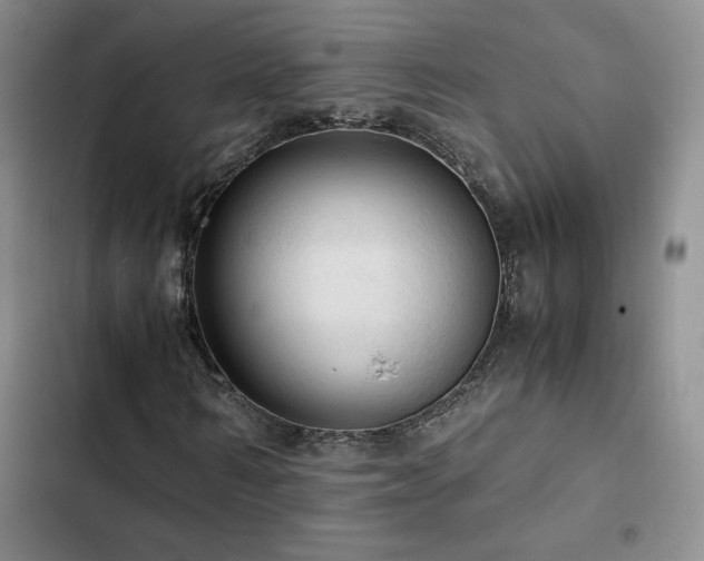 X0000103160962200808221350