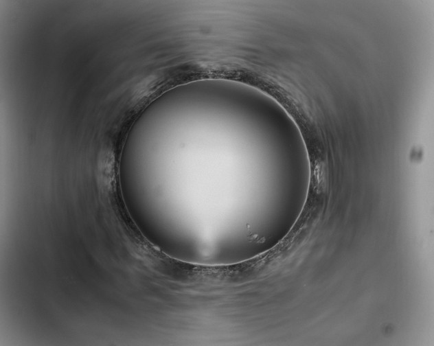 X0000103160963200808221350
