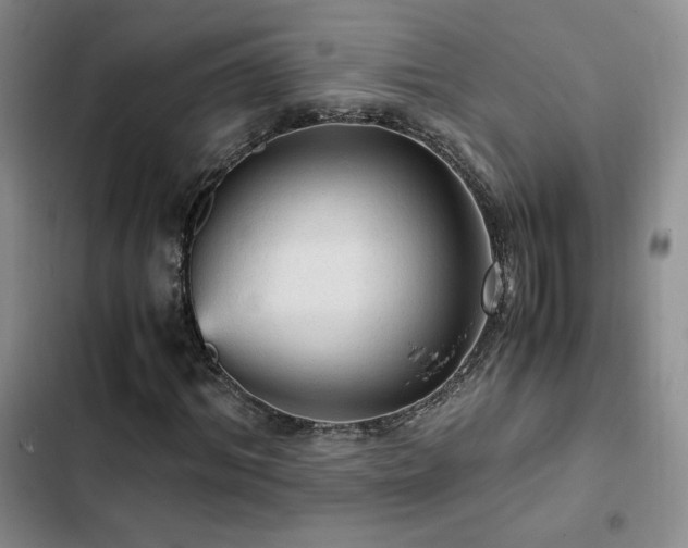 X0000103160964200808221350