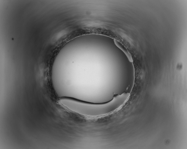 X0000103160965200808221350