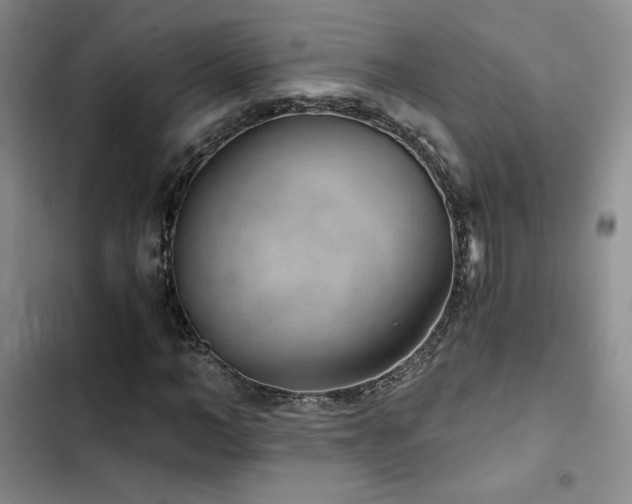 X0000103160966200808221350
