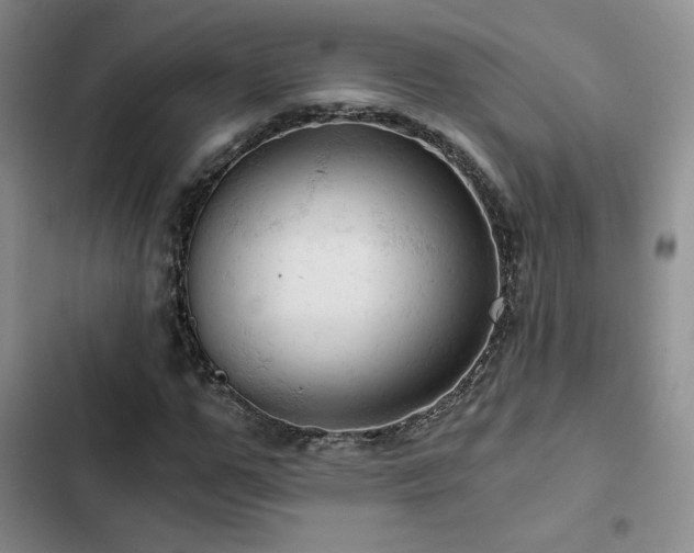 X0000103160967200808221350
