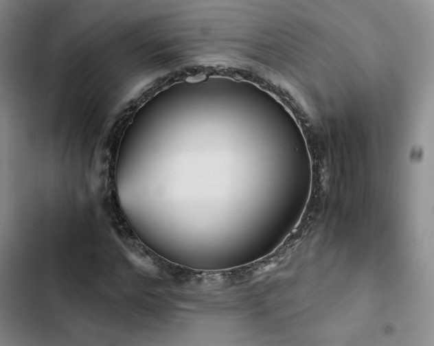 X0000103160968200808221350