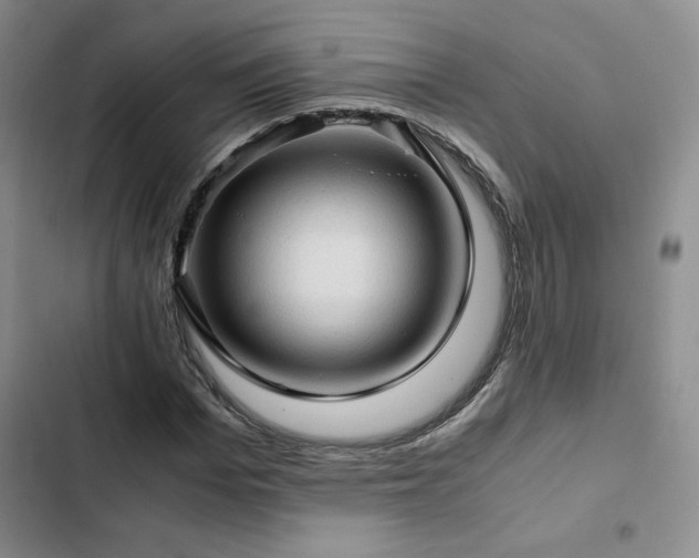 X0000103160969200808221350