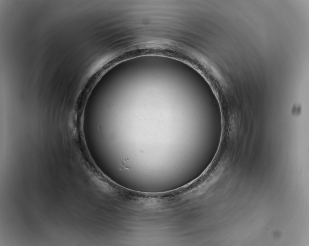 X0000103160970200808221350