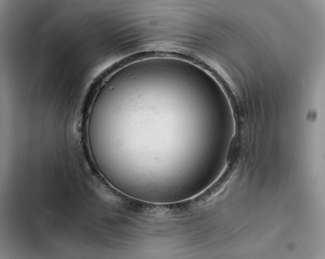 X0000103160971200808221350
