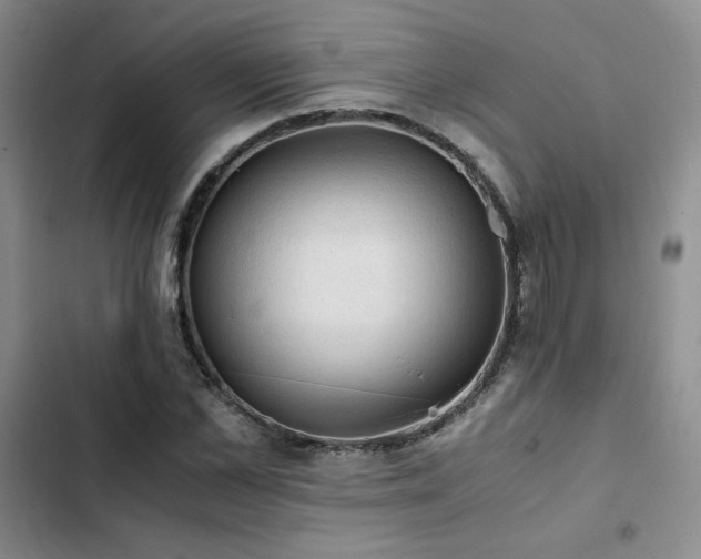 X0000103160973200808221350