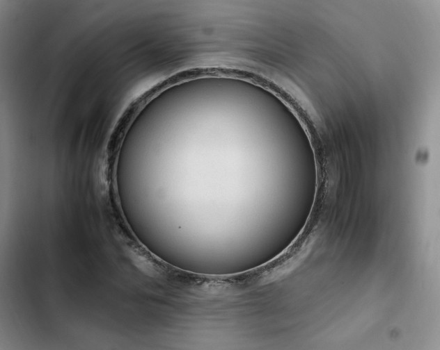X0000103160974200808221350